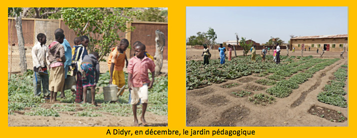 Planche photos des jardins à Didyr